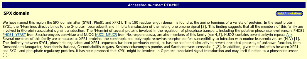 SPX Domain Information